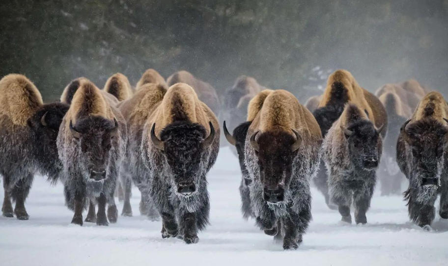 南通福富利品商贸有限公司轮播图2